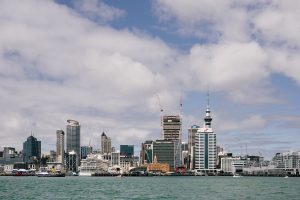 Nueva directiva de New Zealand Cruise Association espera recuperación de la industria