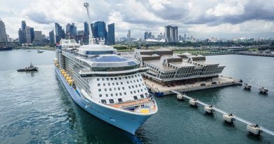 Presunto traficante de drogas es arrestado en Singapore Cruise Center