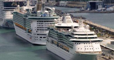 Designan a Francesc Grau i Comellas como director general de Barcelona Cruise Port