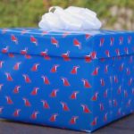 Video: El unboxing de Carnival para revelar nombre de barco hermano del Mardi Gras