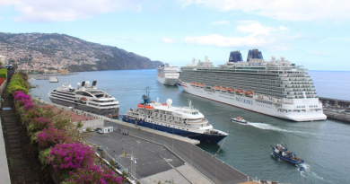 Madeira adelanta temporada inédita de visitantes en 2026