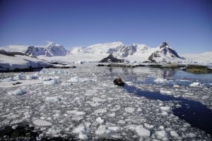 Asociación Internacional de Operadores Turísticos de la Antártida busca gerente de operaciones