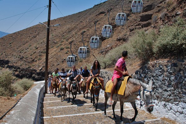 Variety Cruise y Peta hacen llamado a evitar paseos en burros en islas griegas