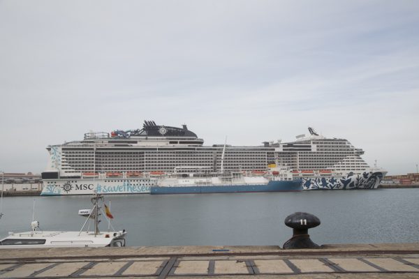 Puerto de Cádiz recibe 19% de cruceristas más en primer cuatrimestre que en 2025