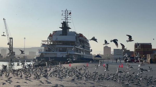 Puerto de Arica cierra temporada de cruceros con 13.645 personas atendidas