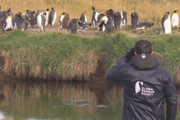 Atlas Ocean Voyages presenta colaboración con Global Penguin Society