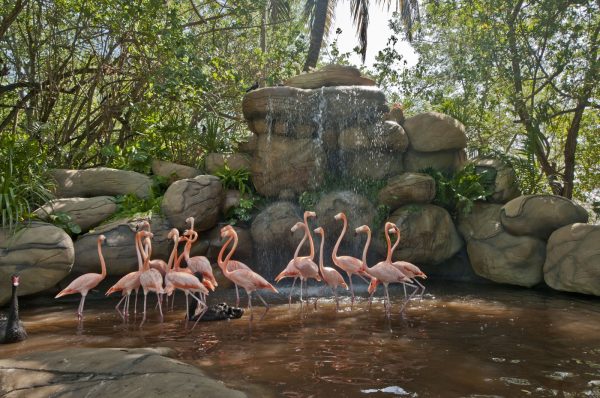 Port Oasis Ecopark del puerto colombiano de Cartagena es premiado