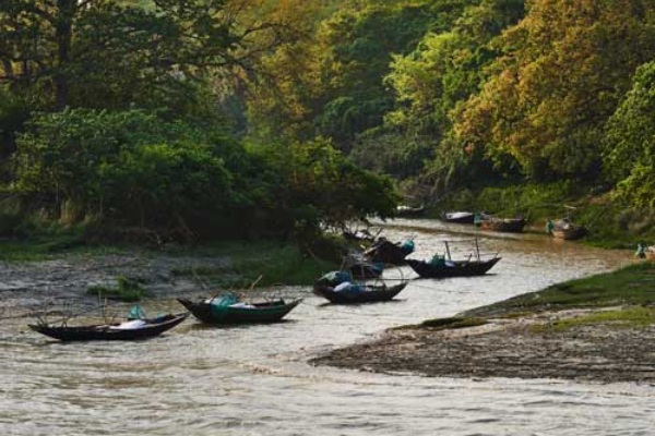 Antara Cruises lanza nuevas rutas en Sundarbans