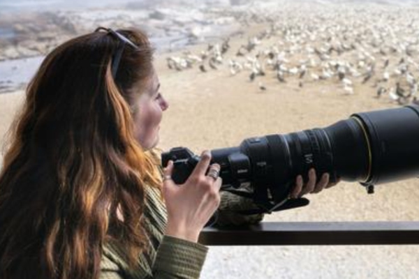 Heritage Expeditions anuncia talleres de fotografía de vida silvestre con Rachel Bigsby