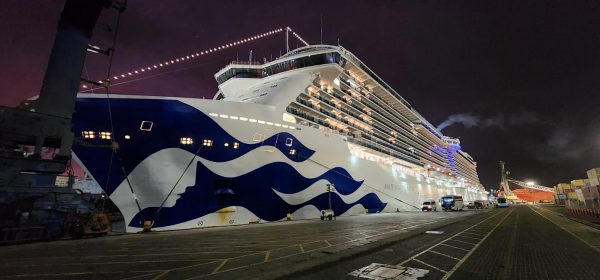 Majestic Princess se convertirá en el mayor crucero en recalar a puertos chilenos tras paso por Perú