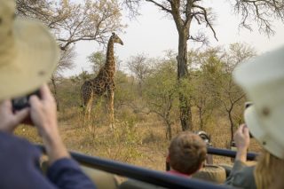 National Geographic Expeditions presenta viaje por el sur de África en 2026