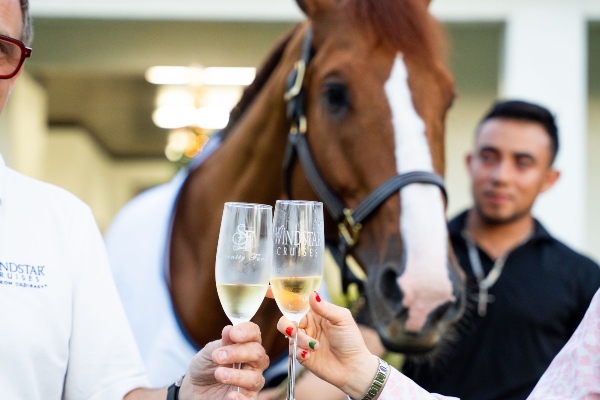 Windstar Cruises ingresa al mundo ecuestre con un caballo de salto