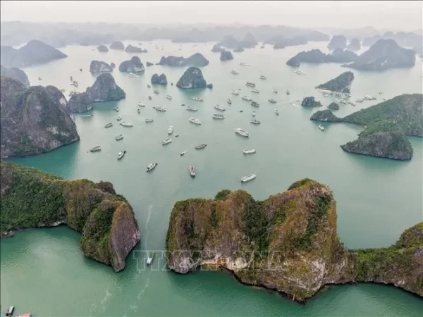 Provincia vietnamita de Quang Ninh busca atraer más cruceristas 