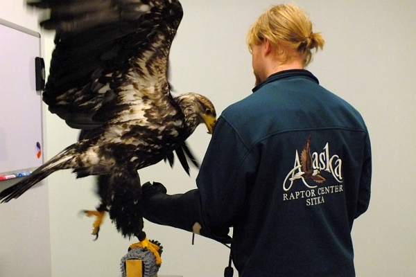 Norwegian Cruise Line Holdings dona USD 50 mil a Alaska Raptor Center