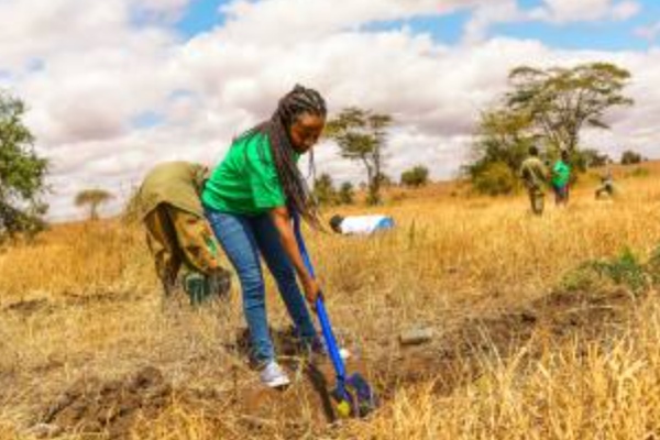 TUI Care Foundation amplía proyectos forestales en Kenia, Zanzíbar y Gran Canaria