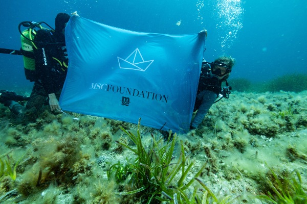 MSC Foundation y Asociación Vellmari hacen balance de esfuerzos para revivir praderas marinas del Mediterráneo