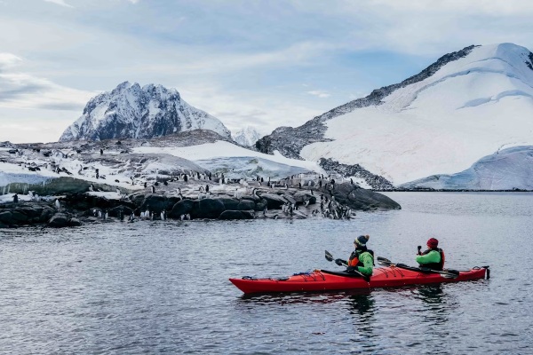 Aurora Expeditions detalla cinco experiencias imprescindibles en la Antártida