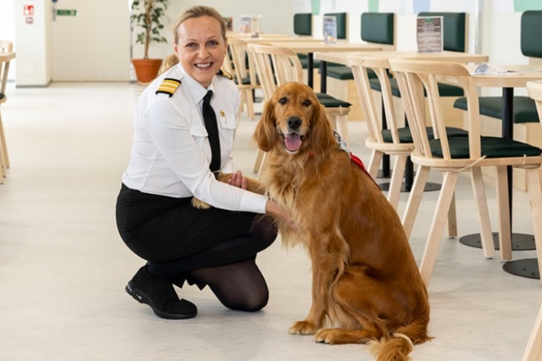Irish Ferries lanza salas VIP para mascotas y sus dueños