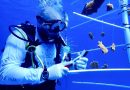 Estudio de MSC Foundation establece grave peligro para arrecifes de coral