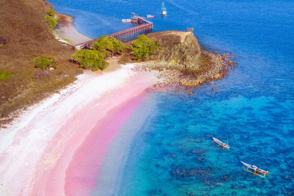 Aurora Expeditions promociona atractivos del itinerario In The Wake of Wallace: Indonesia y Borneo