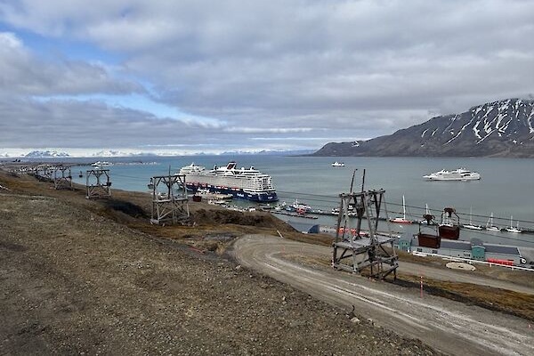 Svalbard espera superar las 500 recaladas de cruceros este año