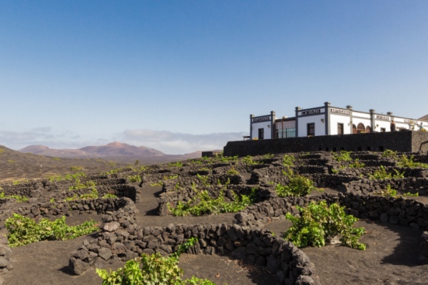 Presidente de Windstar detalla atractivos de Islas Canarias