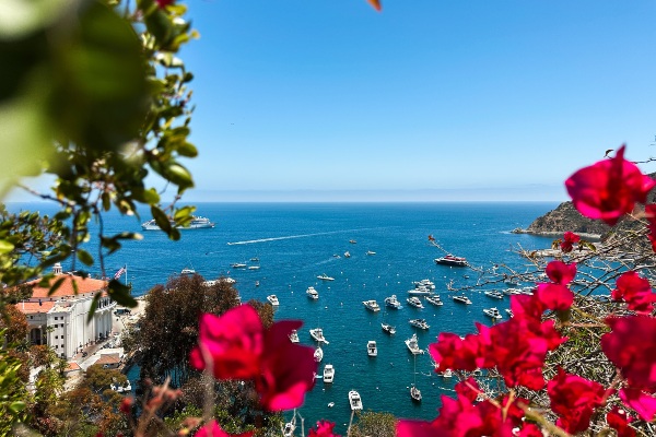 Villa Vie Residences presenta Golden Passport: una vida de cruceros ilimitados