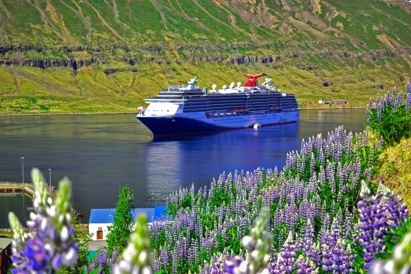 Carnival Cruise Line presenta navegación para ver eclipse solar