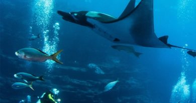 Aqua Expeditions destaca aportes para celebrar Día Mundial de la Protección de la Naturaleza