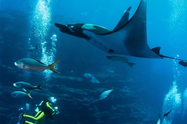 Aqua Expeditions destaca aportes para celebrar Día Mundial de la Protección de la Naturaleza