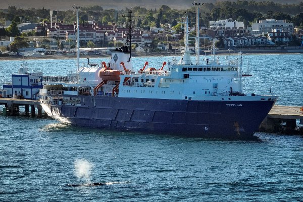 Ortelius toma pasajeros en Chubut para visitar las Malvinas