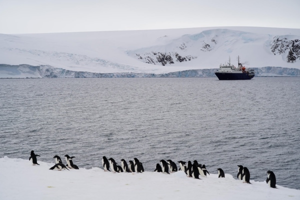 Oceanwide Expeditions propone igualar y superar logros de cara a temporada 2025-2026