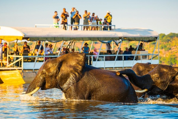Encuesta de Travelsavers Canada indica que viajes a destinos remotos marcarán tendencia en 2026