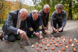 Holland America Line lanza exclusivo tulipán para celebrar su tradición