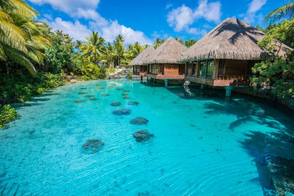 Aranui invita a conocer Coral Garden para hacer snorkel