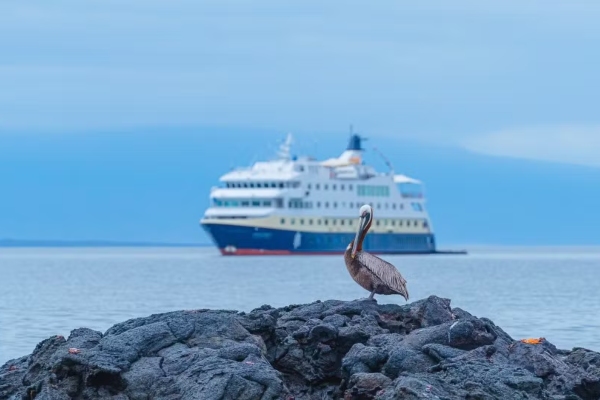 HX Expeditions anuncia temporada 2027-28 en Galápagos