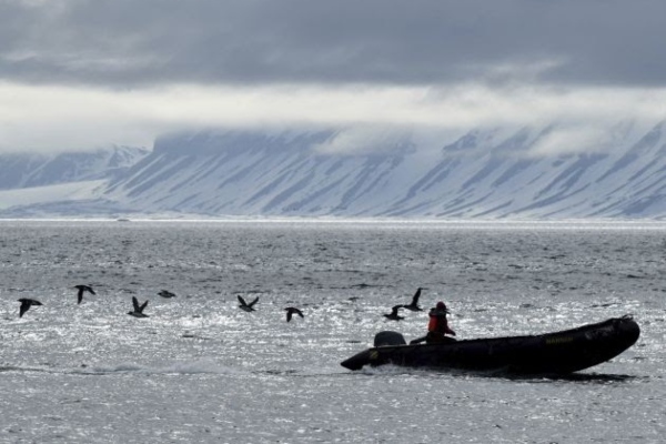 Ikarus Tours lanza promociones navideñas para el Ártico y la Antártida