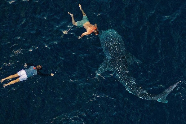 Aqua Blu anuncia expedición especial de 10 noches a través del Parque Nacional Komodo