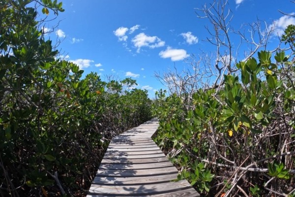 Carnival Corporation firma alianza plurianual con Conservation International