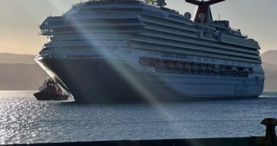 Próxima temporada en Wellington se iniciará en octubre con nuevas iniciativas