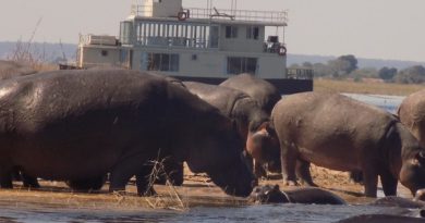 Zambezi Queen Collection presenta viajes lentos del Chobe Princess por África