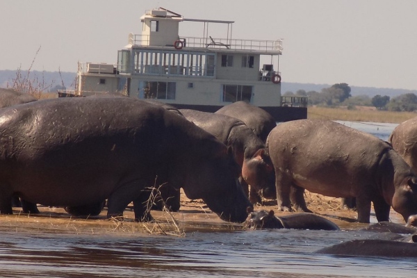 Zambezi Queen Collection presenta viajes lentos del Chobe Princess por África