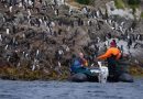 Heritage Expeditions invita más allá de Fiordland a conocer las islas más salvajes de Nueva Zelanda