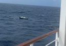 Silver Whisper se desvía en medio del Pacífico para ayudar a un yate averiado