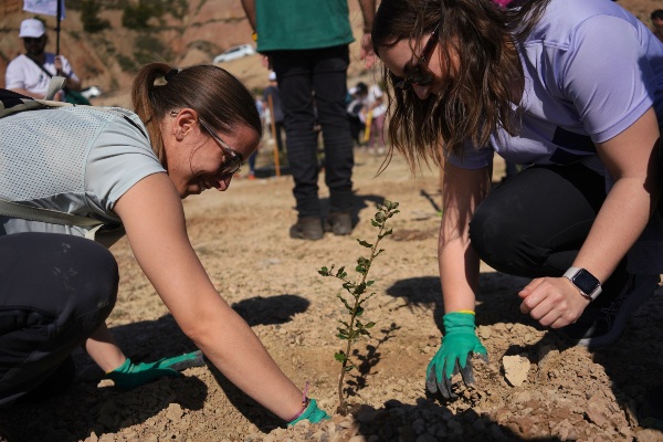 TUI Care Foundation lanza nuevo proyecto forestal en Navarra para restaurar bosques dañados por incendios