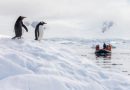 Heritage Expeditions lanza temporada inaugural del Heritage Discoverer para 2027-28