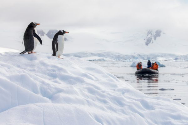 Heritage Expeditions lanza temporada inaugural del Heritage Discoverer para 2027-28