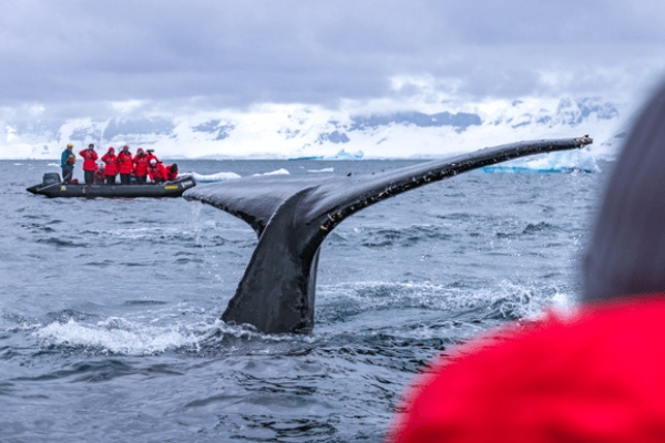Poseidon Expeditions presenta nuevas experiencias exclusivas de fotografía en la Antártida