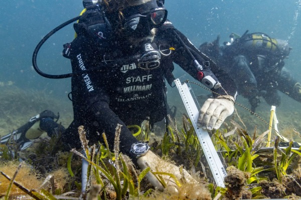 MSC Foundation y Asociación Vellmarí lanzan nuevo programa a bordo del Explora III