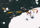 Swan Hellenic destaca cruceros con expediciones al hielo en kayak